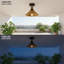 Semi Flush Mount-728548691-728548692