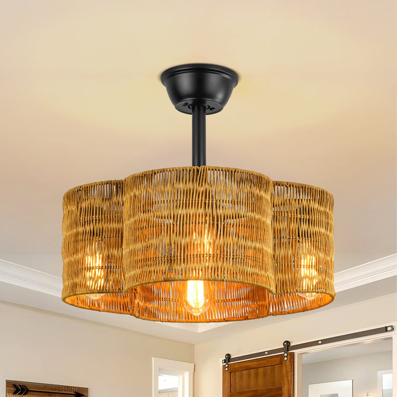 4 - Light 20'' Caged Ceiling Fan with Light Kit and Remote Control