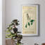 Linnaean Botany II - peinture encadrée-825604146-825604145