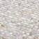 Baroque 0.25" X 0.75" Seashell Brick Joint Mosaic Wall Tile