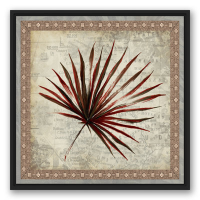 " Fan Palm "