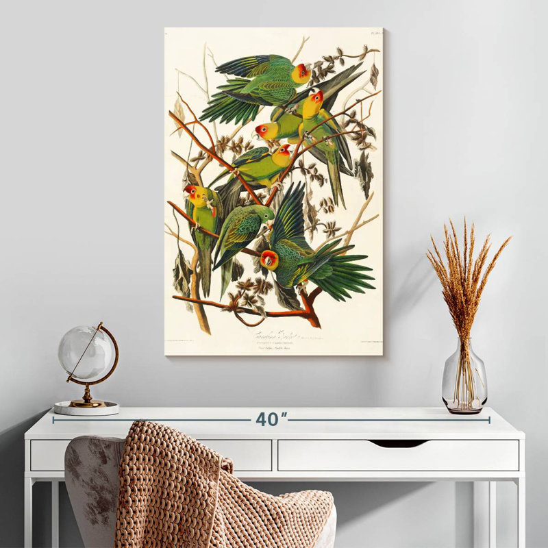Brampt Carolina Parakeet, 30" H x 20" W