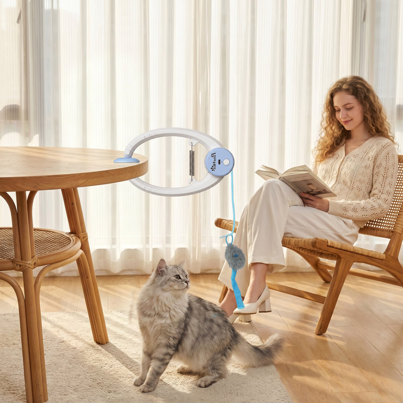 Hybrid Feeder/Toy