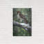 «Red Tailed Hawk» par William Vanderdasson