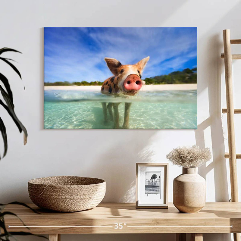 Brampt Cochon à Exuma, Bahamas, H 16 po x l 24 po