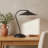 Lowen Metal Desk Lamp