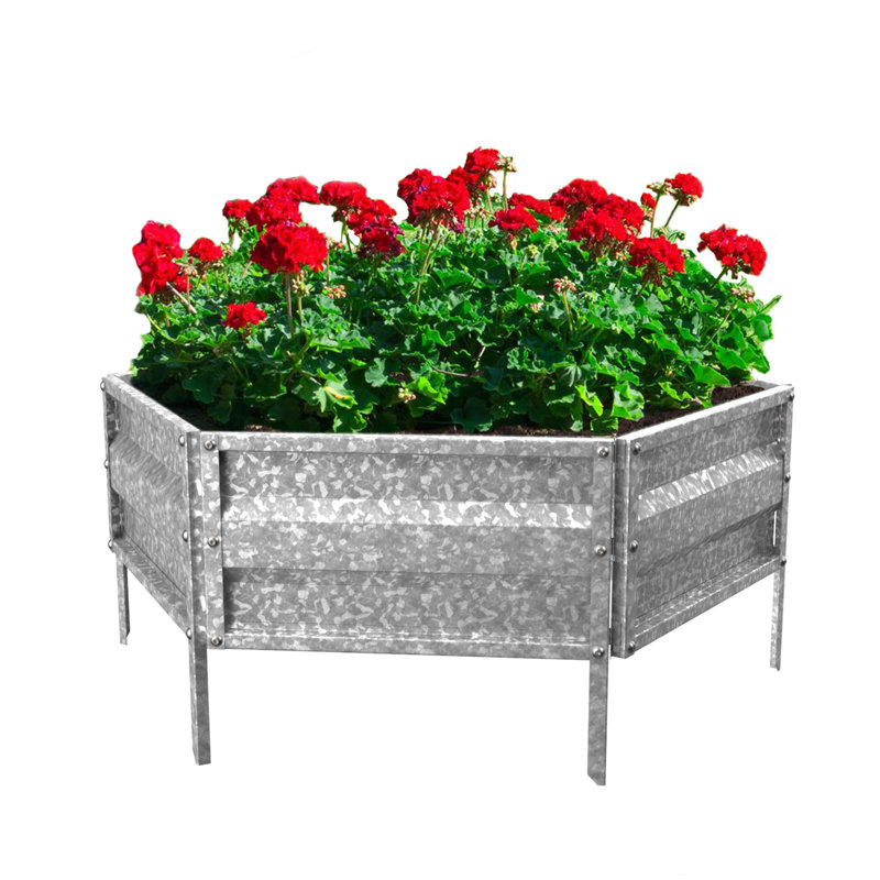 Hexagonal Galvanized Iron Raised Garden Bed Planter