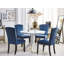 Thomason 49cm H Velvet Upholstered Side Chair-202195176