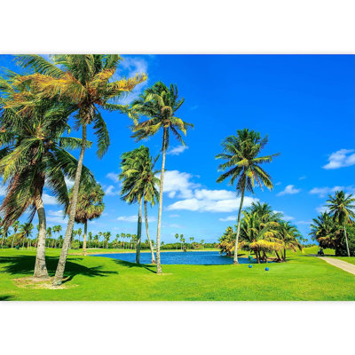 Magnifique peinture murale de paysage de golf à Miami