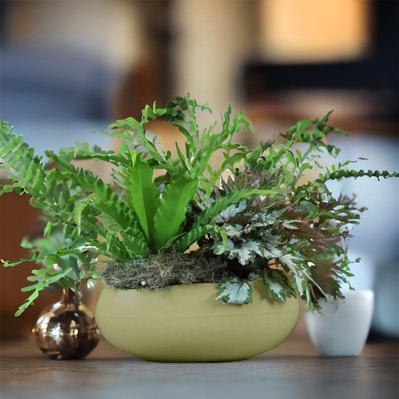 Dhruvin ECOBO Eco-Friendly Round Pot Planter, Rochas Indoor/Outdoor Four Season Use, Marble Beige, 5.9" H x 12.6" W x 7.5" D