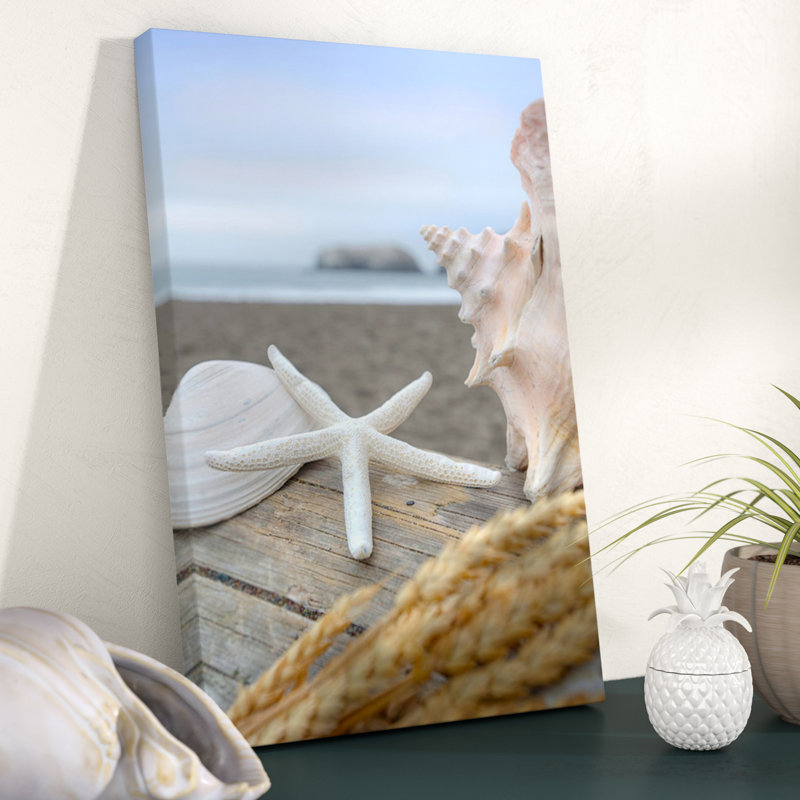 «Crescent Beach Shells» par Alan Blaustein - reproduction, H 12 po x l 8 po x P 0,75 po, Toile tendue