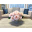 Peonies In Cream Vase