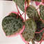 90cm Faux Plant in Planter-101685350