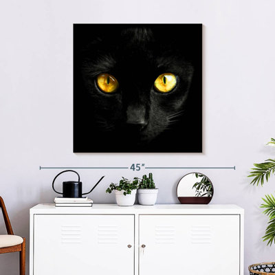 Brampt Yellow-Eyed Black Cat