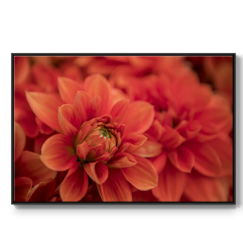 Printemps, impression sur toile tendue, Cadre noir, H 25 po x l 17 po x P 2 po