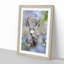 Resting Deer - Framed Print-55598531-55598535