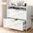 Lateral File Cabinet 2 Drawers Mobile File Cabinet with Charging Station for Letter/Legal/A4 Size Hanging Files