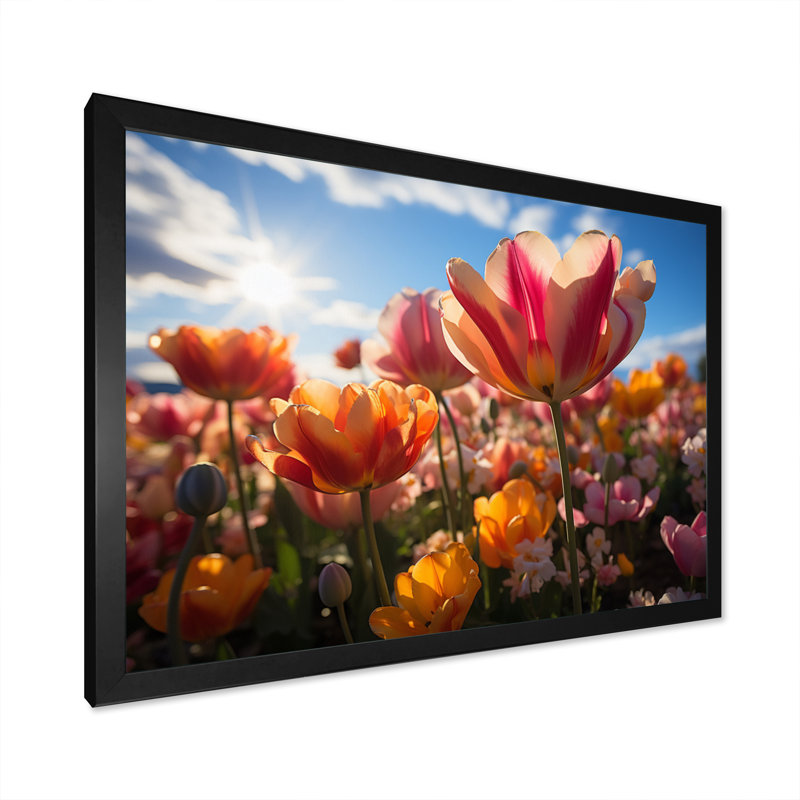 «Danemark Multicolor Tulip Fields III», reproduction sur toile, Cadre photo noir, H 12 po x l 20 po x P 1 po