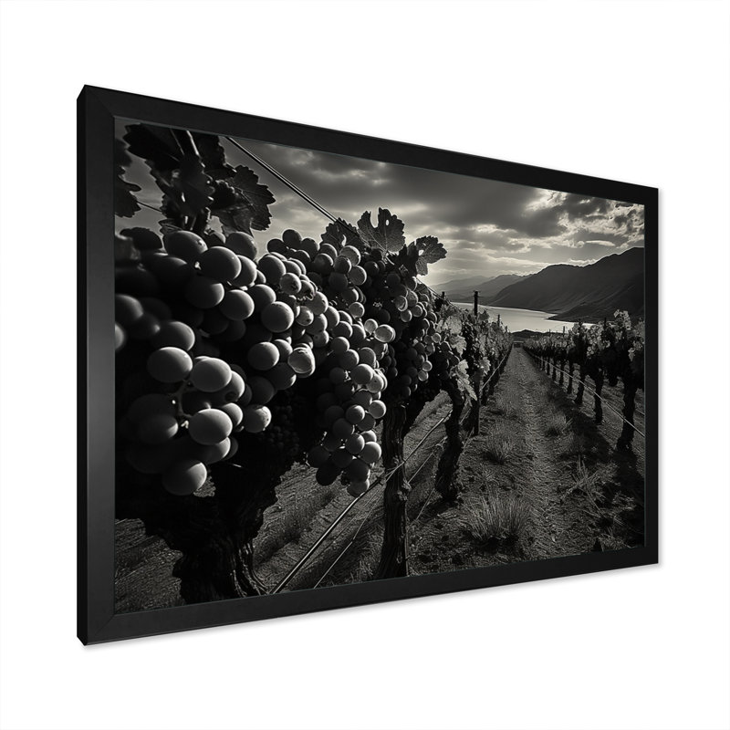 «Scenic Vineyard In Mon monochrome», reproduction d'art sur toile, Cadre simple noir, H 34 po x l 44 po x P 1,5 po