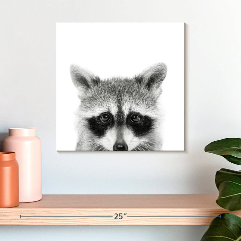 Brampt Peeking Raccoon, 16" H x 16" W