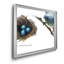 «Bird & Nest Study II», impression sur toile encadrée-1038272026-1038272027