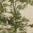 Toile Tapestry With Hanger-Toile Moss