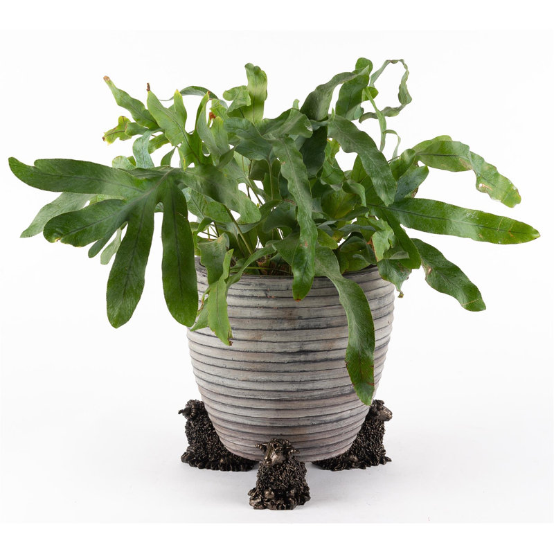 Tenley Weather Resistant Planter Feet