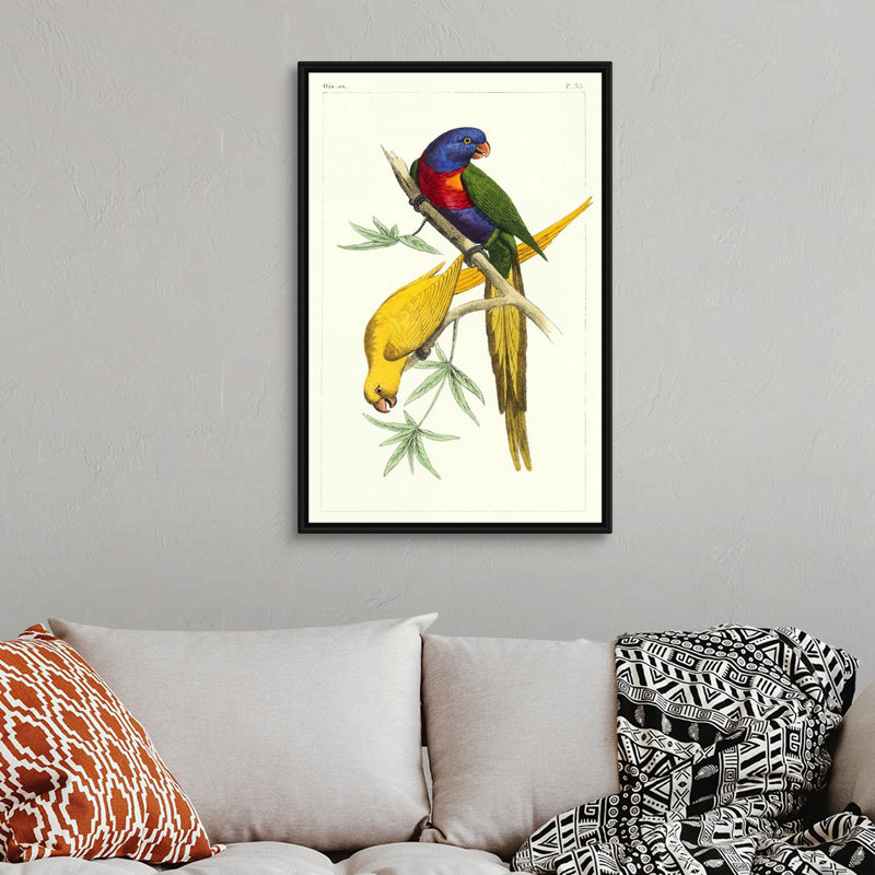 Art mural sur toile Lemaire Parrots IV, Toile encadrée noire, H 38 po x l 26 po x P 2 po