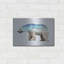 "L'ours polaire arctique" par Davies Babies-1089721912