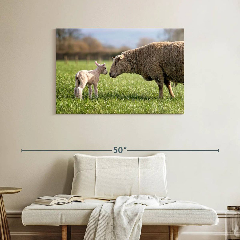 Brampt Sheep Love, H 26 po x l 39 po