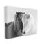 «Wild Horse Animal paire», art mural sur toile surdimensionné noir et blanc par Danita Delimont