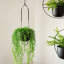 Ahziyah Metal Hanging Planter