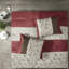 Ensemble de literie pour grand lit, polyester brodé confort moderne pour la maison