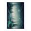 Tapis Starlight-539375055