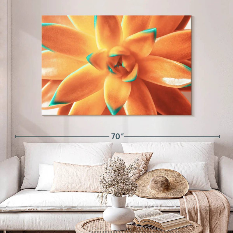 Plante grasse orange Harnek, H 34 po x l 51 po
