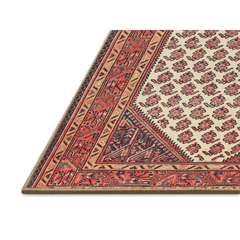 Tapis brun Southwestern, Rectangle 5 pi x 7 pi