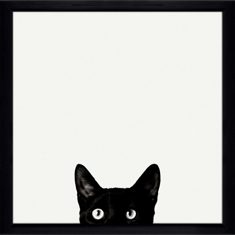 Curiosité par Jon Bertelli - photographie, Cadre noir, H 25,5 po x l 25,5 po x P 1 po
