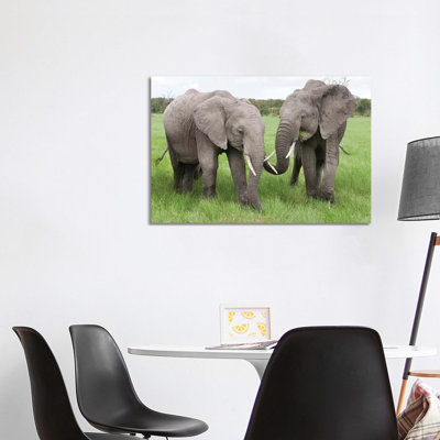 African Elephant Pair Grazing, Ol Pejeta Conservancy, Kenya 1 Piece Wrapped Canvas Wall Art