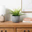 Indoor Cement Flower Pot Planter