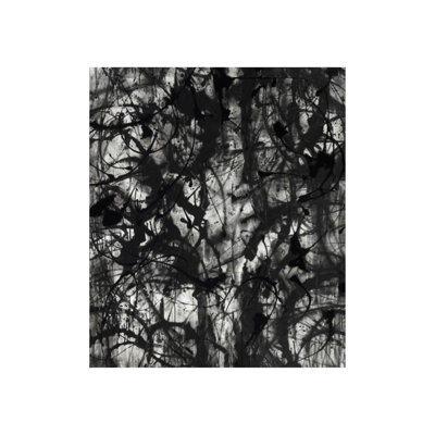 Erratic Print by Paul Ngo