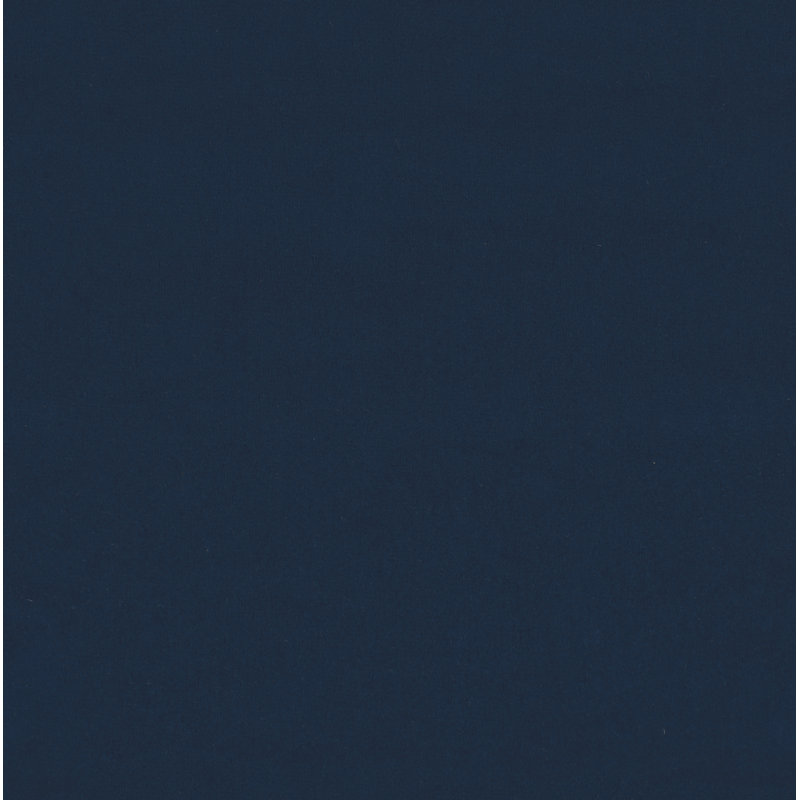 Aaron 2 - Piece Velvet Sofa Set, Navy