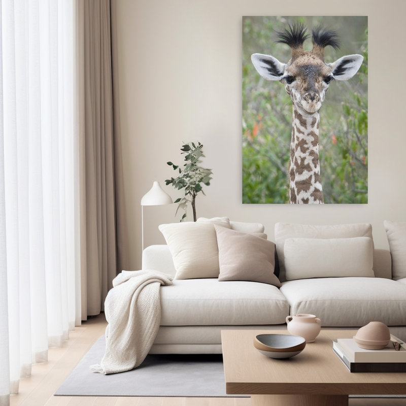 Gros plan d'une petite girafe, Giraffa Camélopardalis, Tanzanie, art contemporain, H 60 po x l 40 po