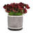 Includes plant rack flower pots