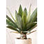 53cm Faux Plant in Cement Pot