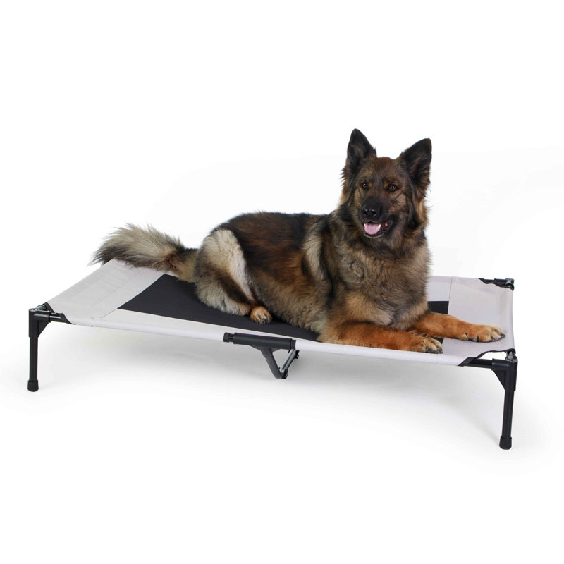 Extra Large Taupe and Black Elevated Outdoor Pet Bed
