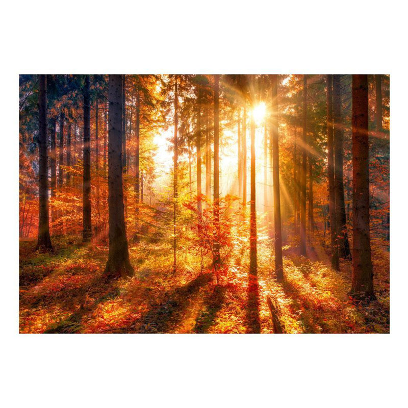 Murale Eulus Trees in Evening Sun, L 55 po x l 77 po