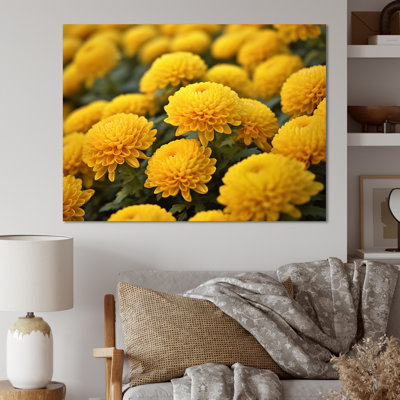«Yellow Mums in Bloom I» sur toile