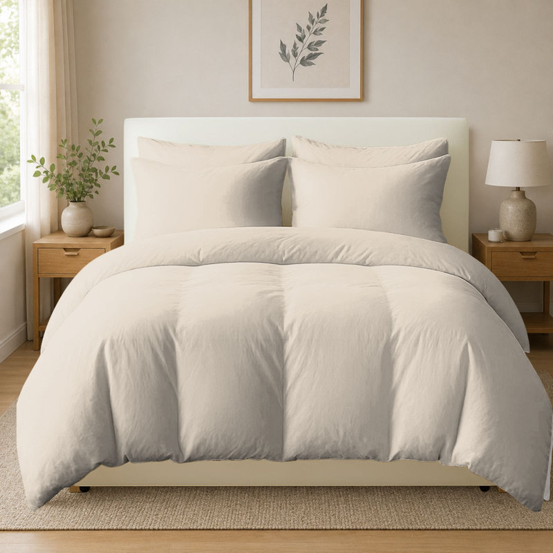 Cotton Bedding, Single (135cm x 200cm), Taupe