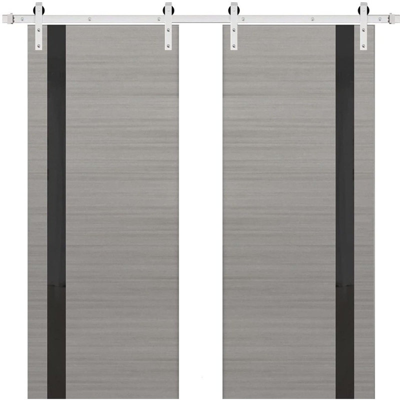 Porte de grange double robuste avec | Planum 0040 noir mat avec verre blanc | Ensemble de 13 cintres lourds pour rail | Portes intérieures à panneau plein - Rail argenté