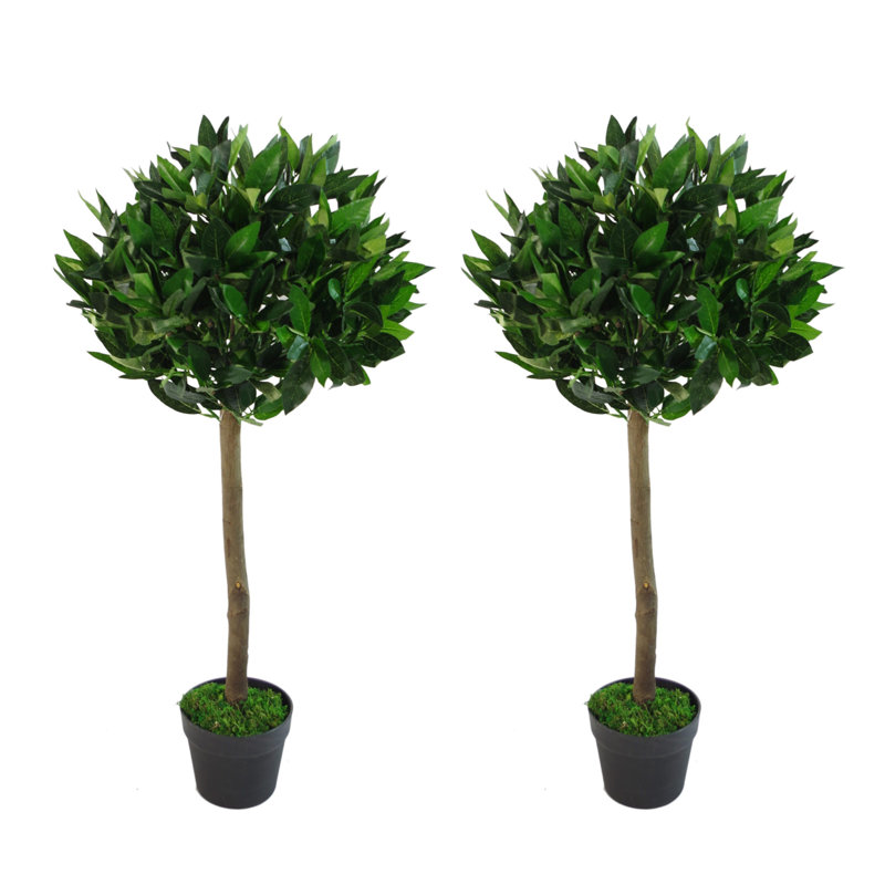 Anlin Faux Bay Laurel Tree in Pot, 90 cm x 45 cm